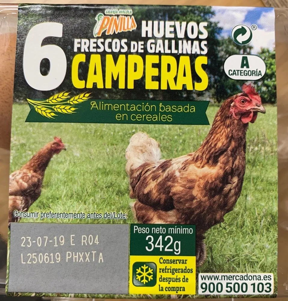 Huevos frescos de gallinas camperas