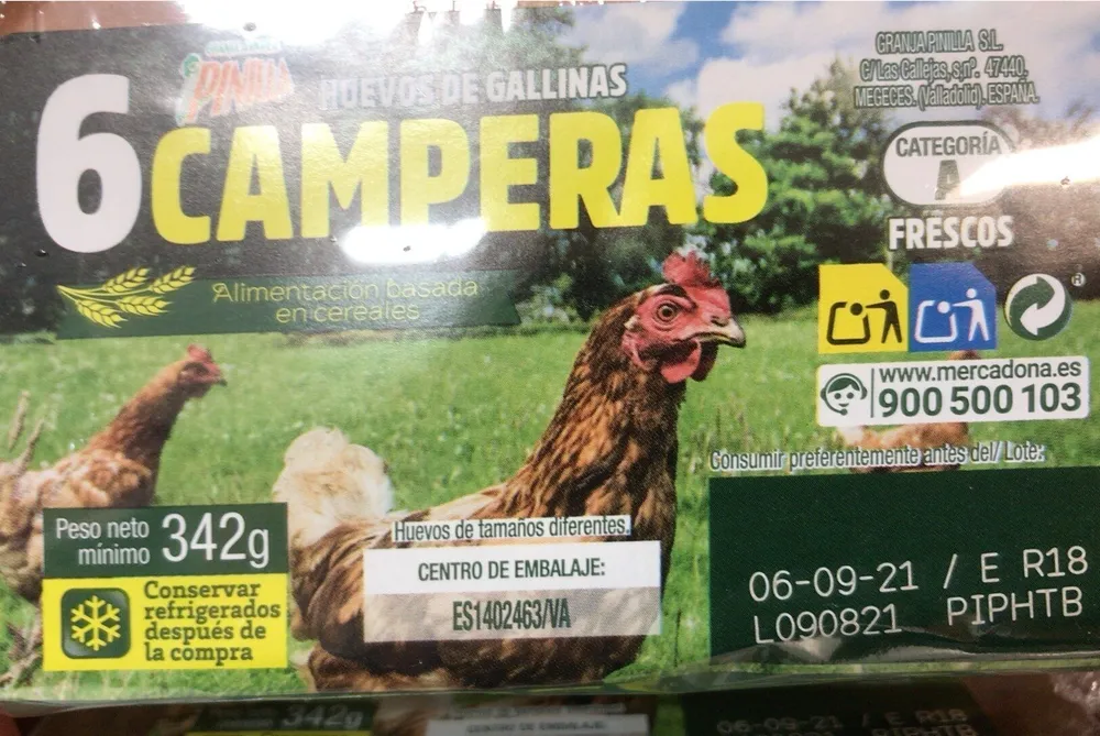 Huevos de gallinas camperas