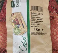 Cebes