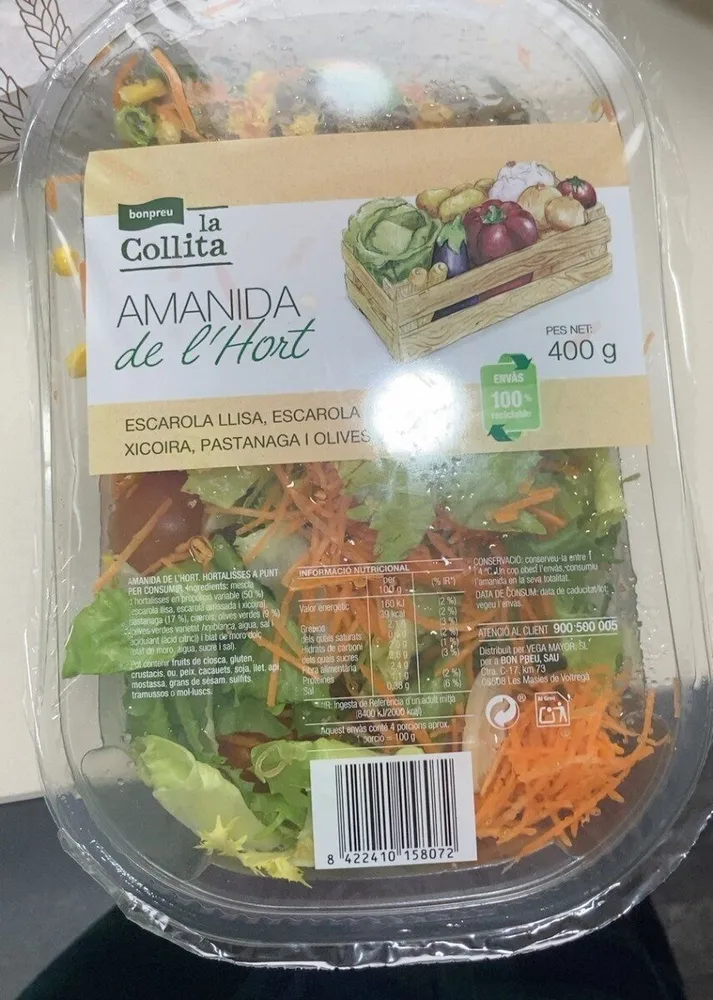 Amanida de l'Hort