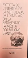 Sal rosa del Himalaya