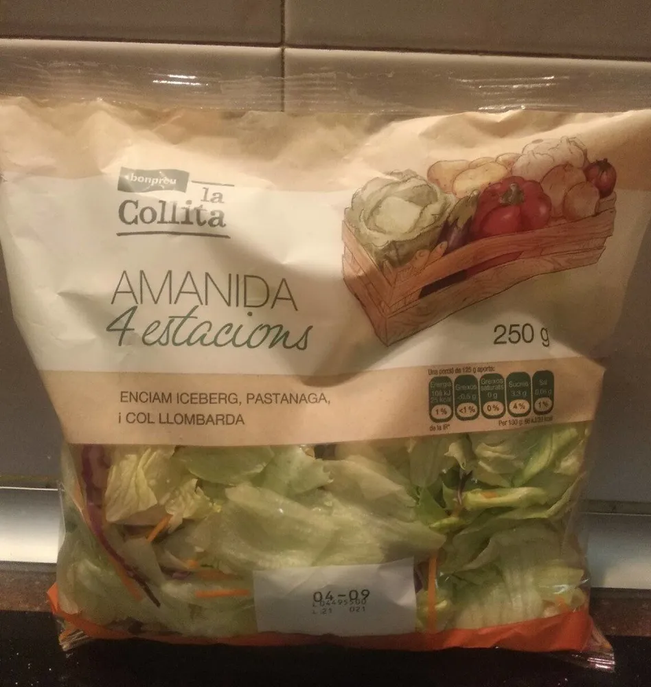 Ensalada 4 estaciones