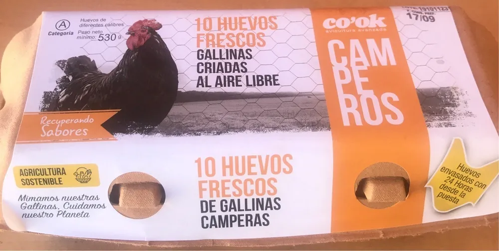 Camperos