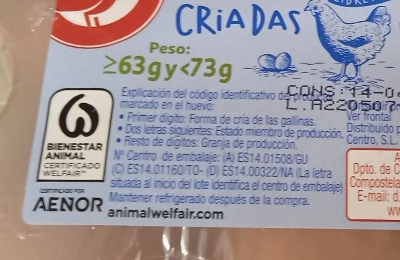 Huevos libres de jaulas
