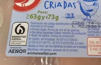 Huevos libres de jaulas