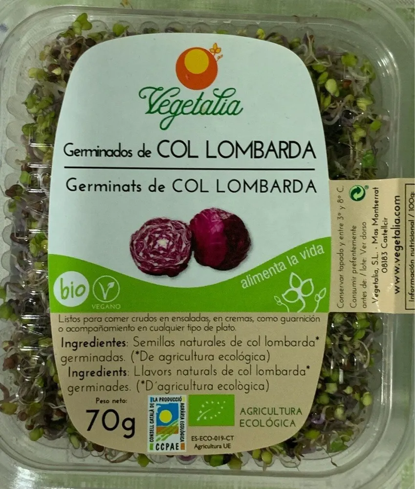 Germinats de Col Lombarda