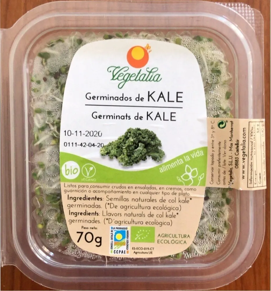 Germinados de Kale