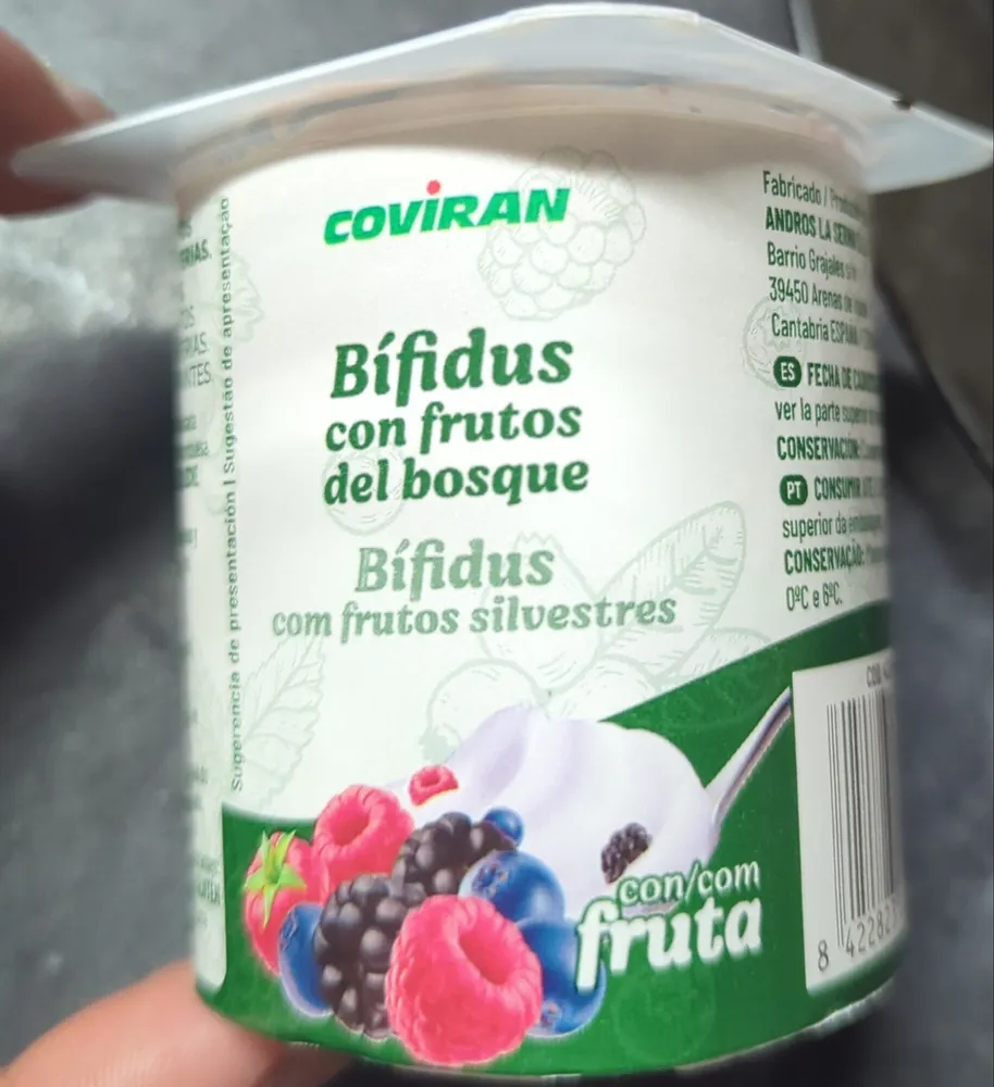 Bífidus com frutos silvestres