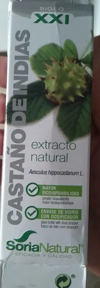 Castaño de indias