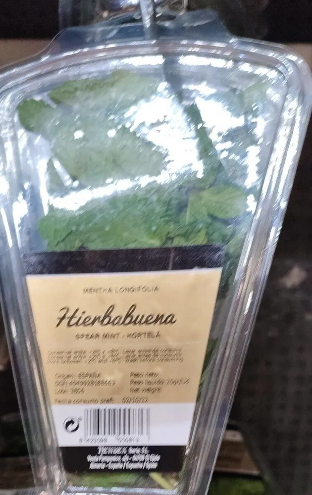 Hierbabuena