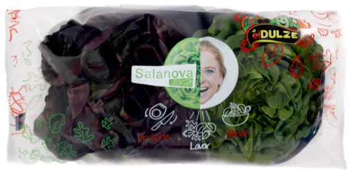 Lechuga salanova