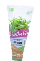Maceta bio dulze albahaca