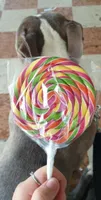 Spiral colours 100 tutti i frutti