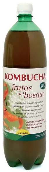 Kombucha grano vita