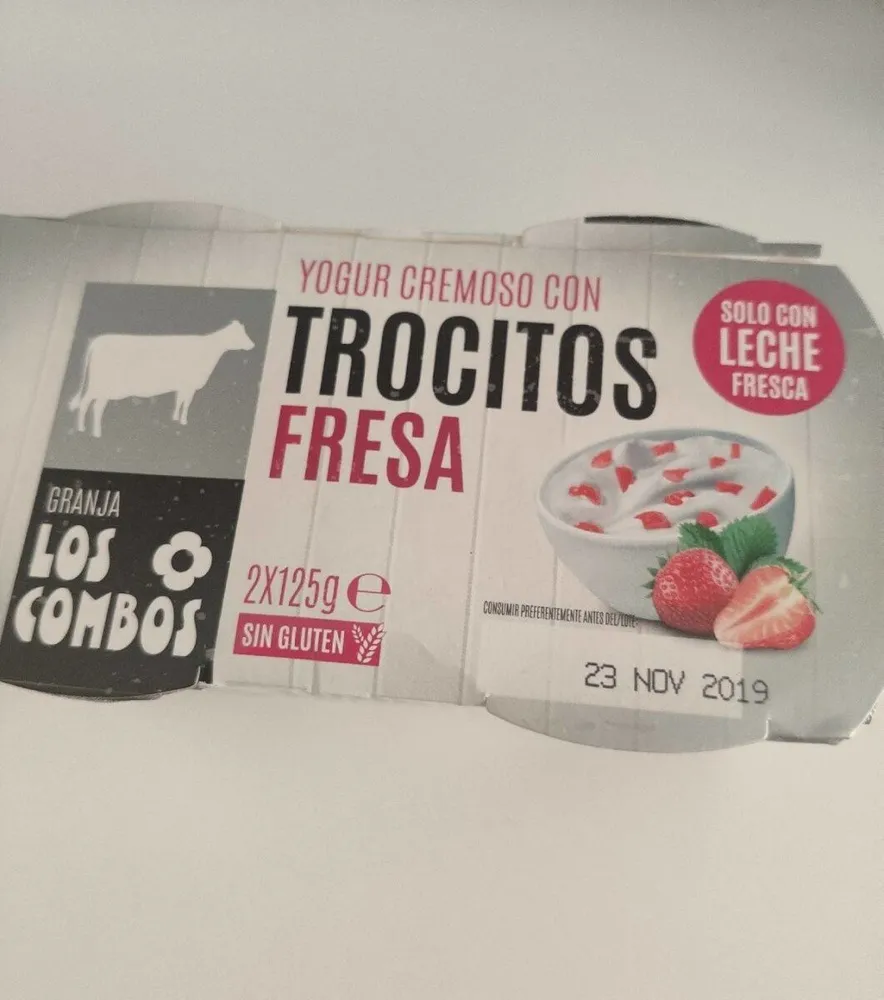 Yogur cremoso con trocitos Fresa