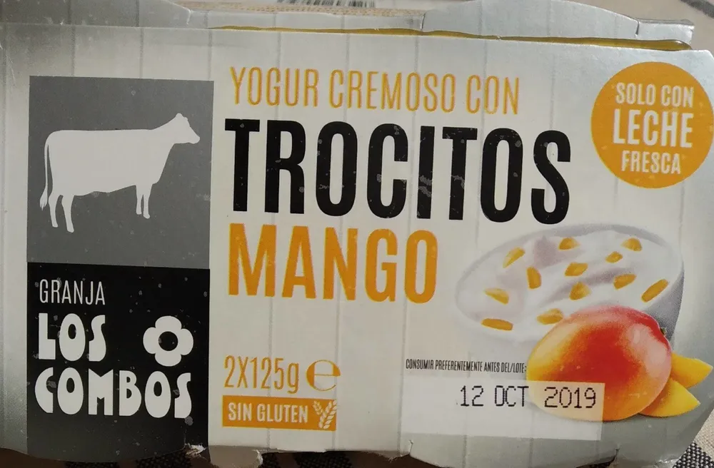 Yogur cremoso con trocitos