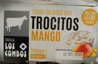 Yogur cremoso con trocitos