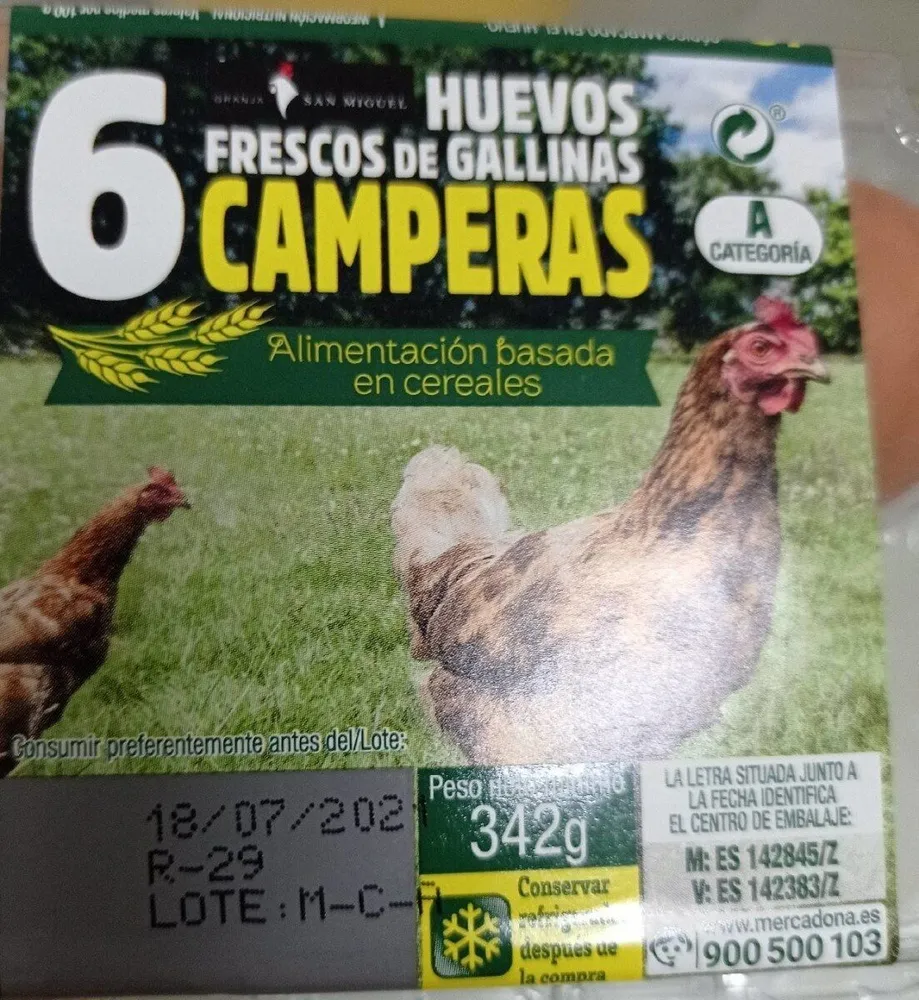 Huevos Frescos de Gallinas Camperas