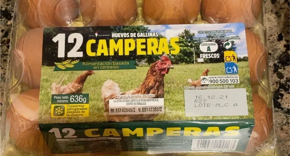 Huevos de gallinas camperas