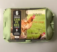 6 huevos camperos
