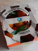 Clémentines à feuilles