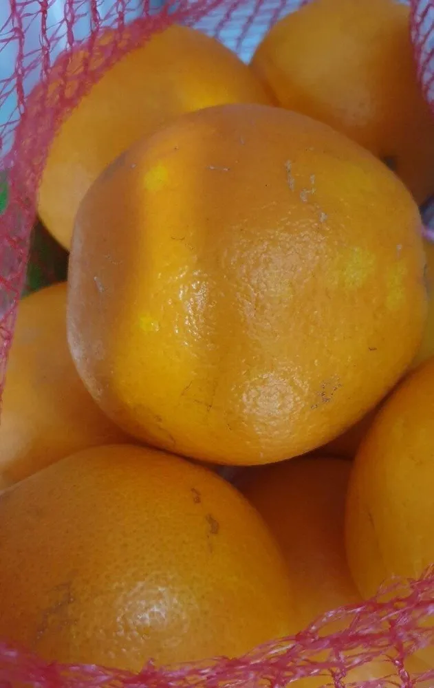 Naranjas de zumo