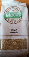 Lino dorado