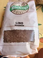 Lino marron