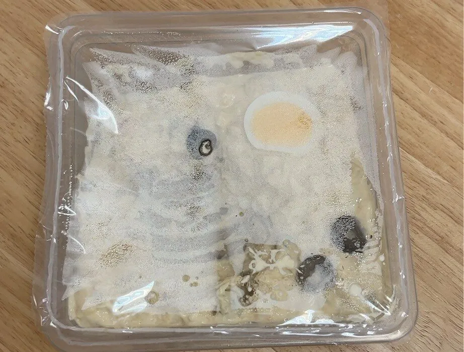 Ensaladilla rusa