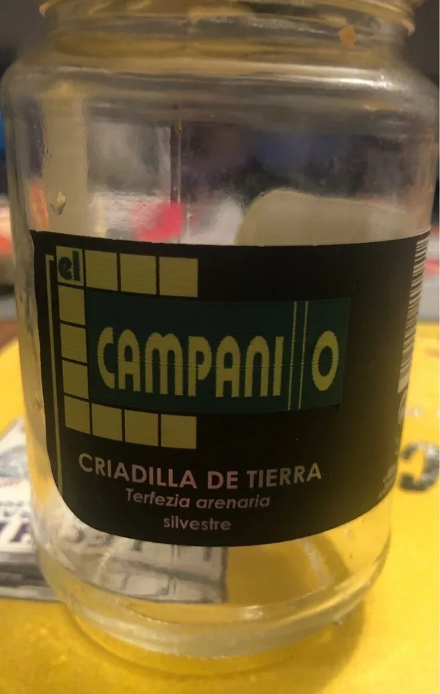Criadilla de Tierr