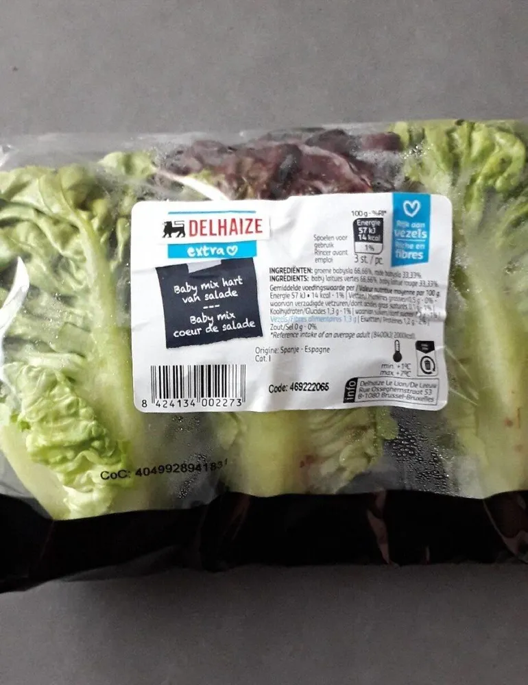Baby mix coeur de salade