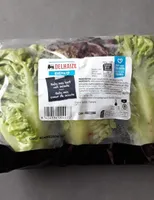 Baby mix coeur de salade