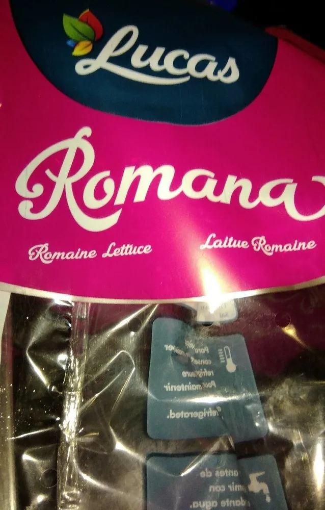 Roman a