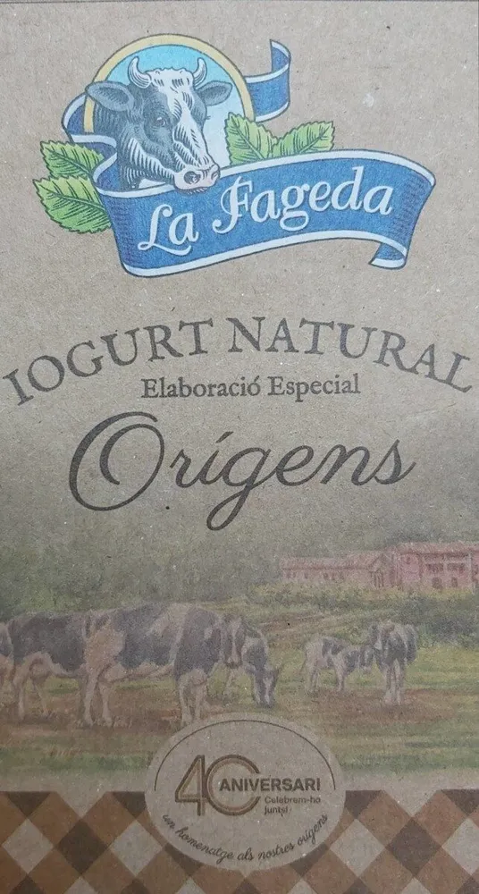 Yogurt natural Orígens