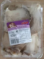 Setas cultivadas