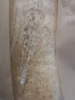 Baguet amb segó