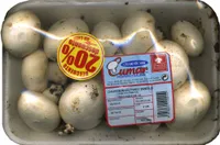 Champiñon cultivado