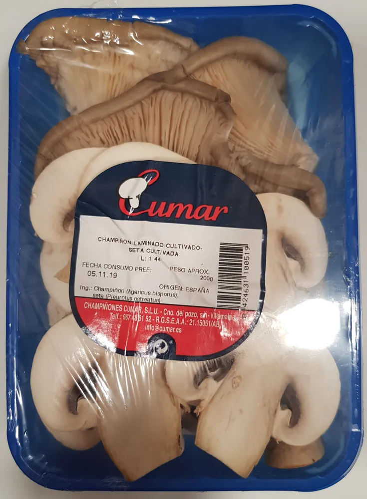 Champiñon laminado