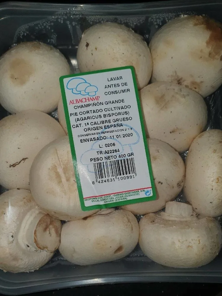 Champiñon grande