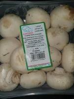 Champiñon grande