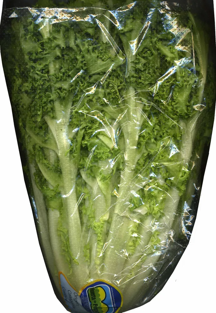 Escarola rizada