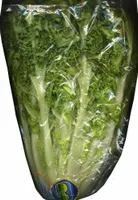 Escarola rizada