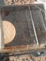 Tarta de chocolate y galletas