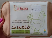 Huevos frescos de gallinas suelo