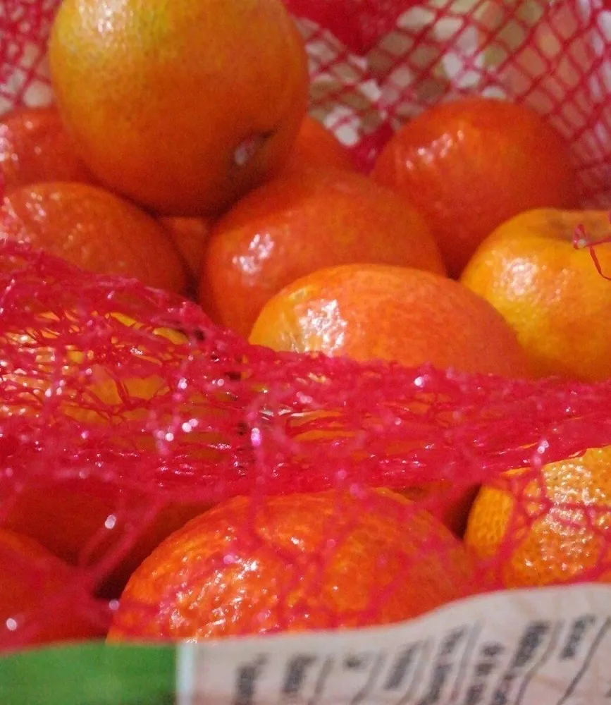 Mandarinas