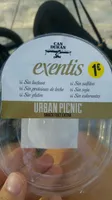 Exentis