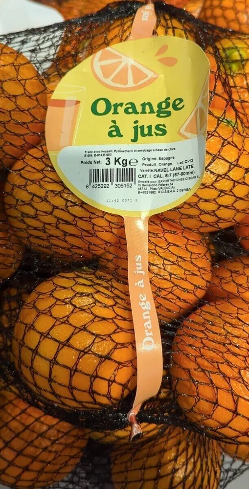 Fruit oranges à jus