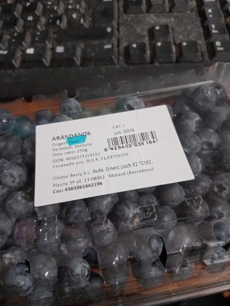 Arándanos