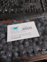 Arándanos