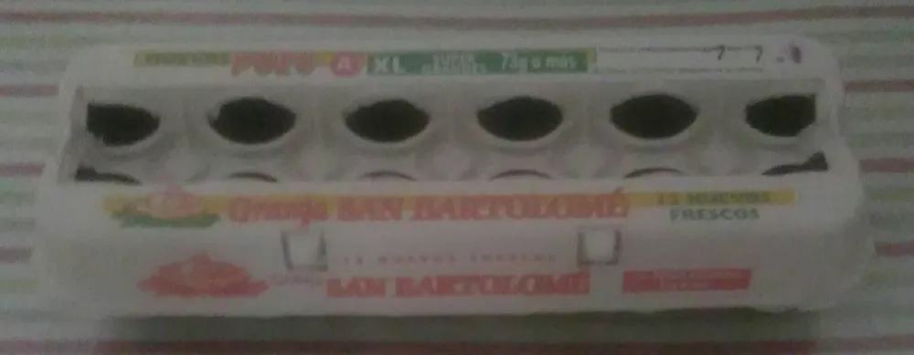 Huevos XL